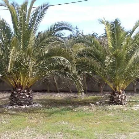 Casas De Azeitonas