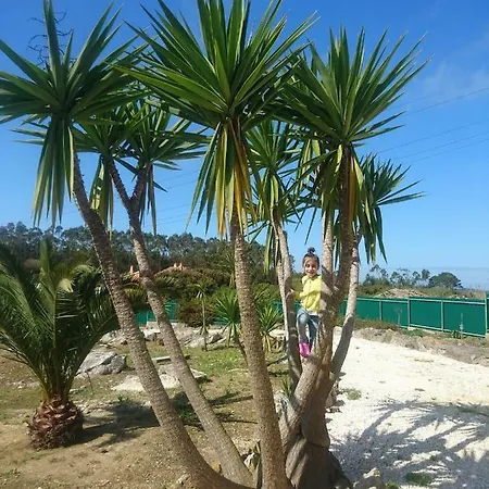 Casas De Azeitonas *